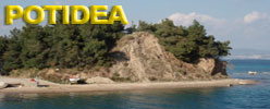 Potidea