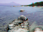 3D Galerija - Sitonija