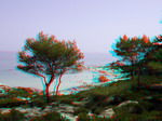 3D Galerija - Sitonija