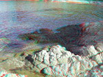 3D Galerija - Sitonija