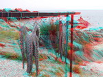 3D Galerija - Sitonija