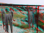 3D Galerija - Sitonija