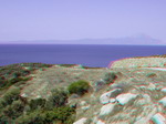 3D Galerija - Sitonija