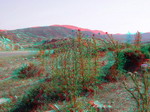 3D Galerija - Sitonija