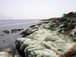 3D Galerija - Sitonija