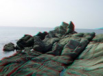 3D Galerija - Sitonija