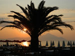 sunce