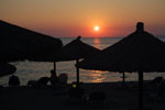 sunce