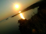 sunce