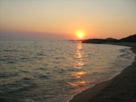 sunce