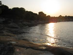 sunce