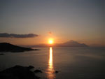 sunce