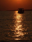 sunce
