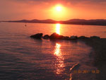 sunce