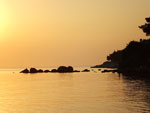 sunce