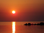 sunce