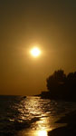 sunce
