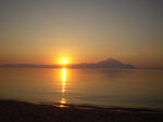 sunce