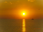sunce