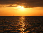 sunce