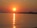 sunce