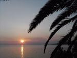 sunce