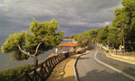 sitonija