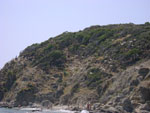 sitonija