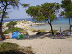 sitonija