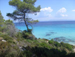 sitonija
