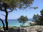 sitonija