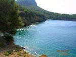 sitonija