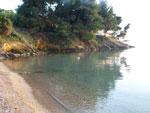 mesto