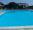 starparadise