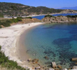 Sarti-Vasso