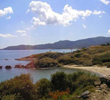 Sarti-Vasso