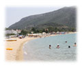 Toroni