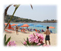 Toroni