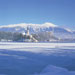 Bled