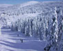 Kopaonik