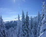 Kopaonik
