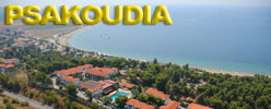 Psakoudia